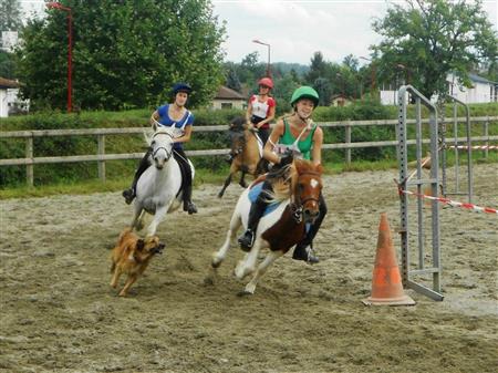 Centre Équestre-Poney club