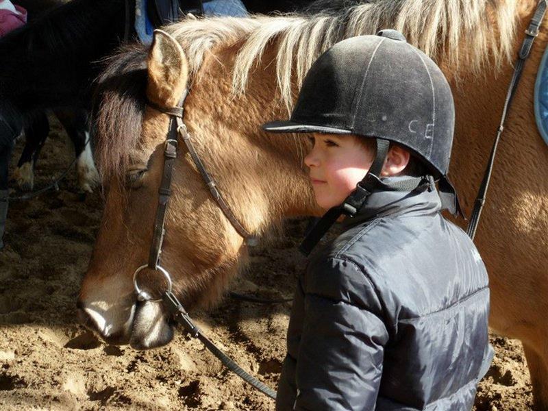 Centre Équestre-Poney club