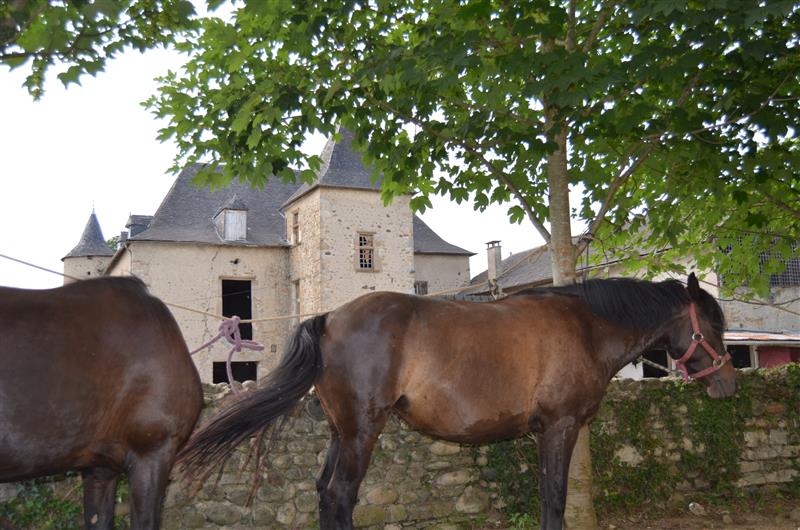 Centre Équestre de Goès