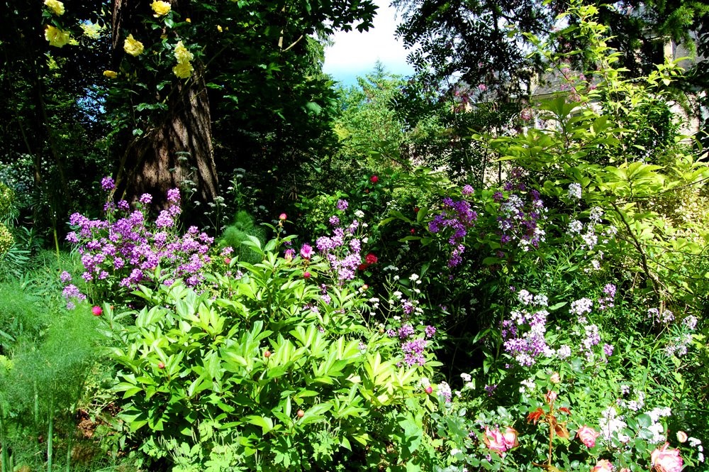 Chambres d'Hôtes du Jardin de la Raze, Collonges-la-Rouge - photo 8