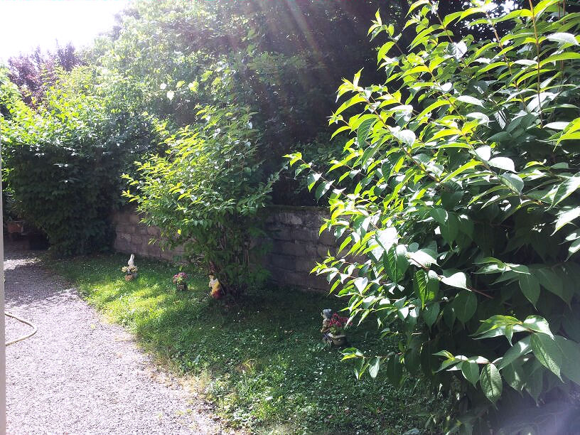 Maison d'Hôtes, Argentat-sur-Dordogne - photo 28