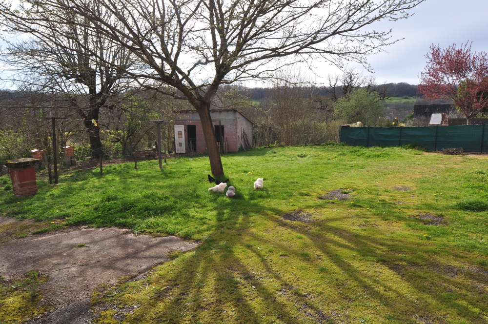 La Fermette, Collonges-la-Rouge - photo 10