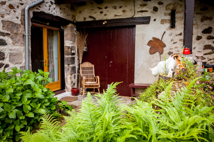 Belle Vue, Nonards - photo 21