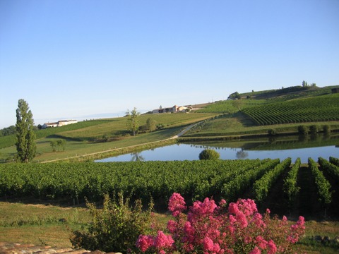 Château Pique-Sègue