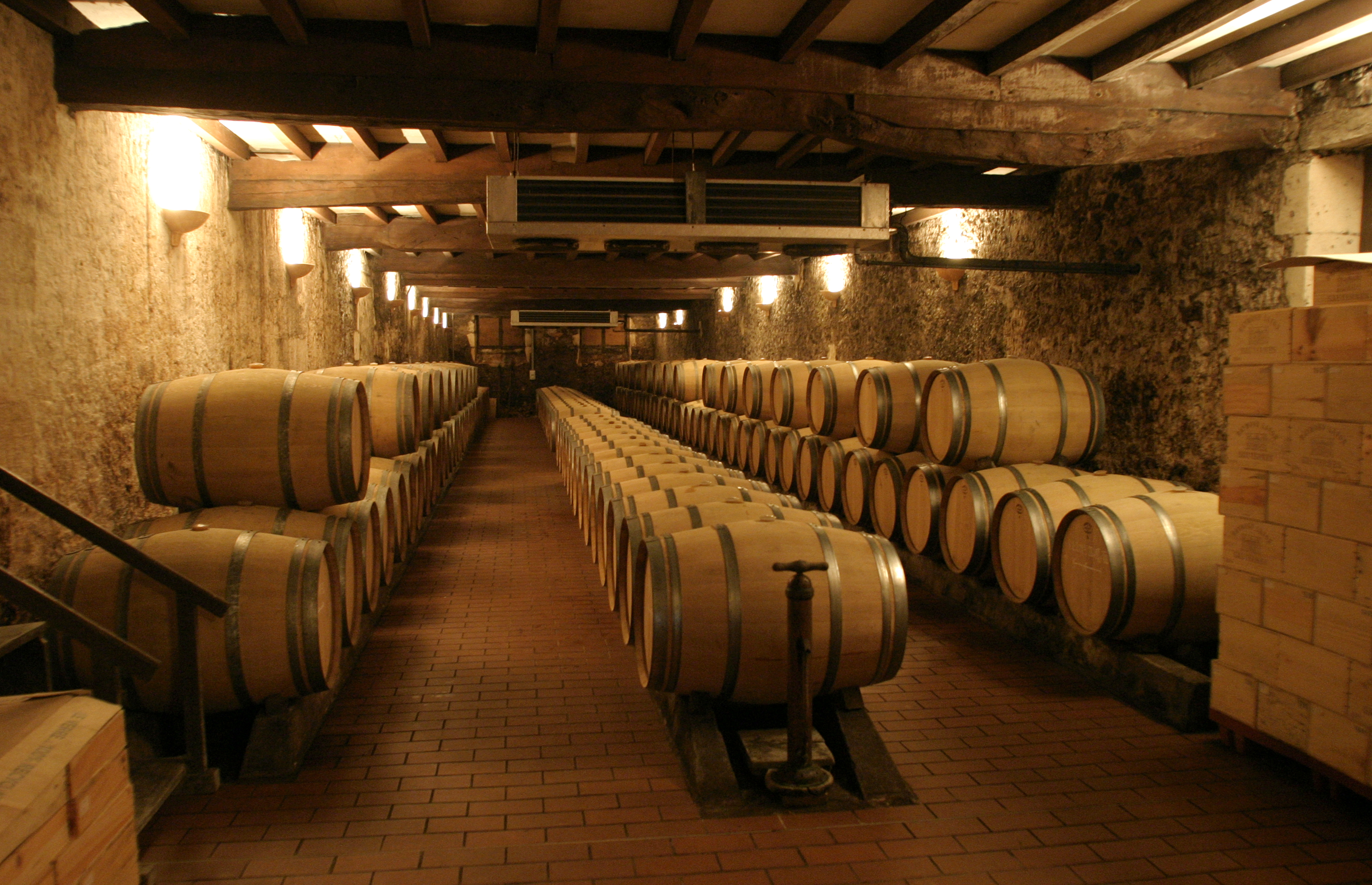 Château Raymond Lafon