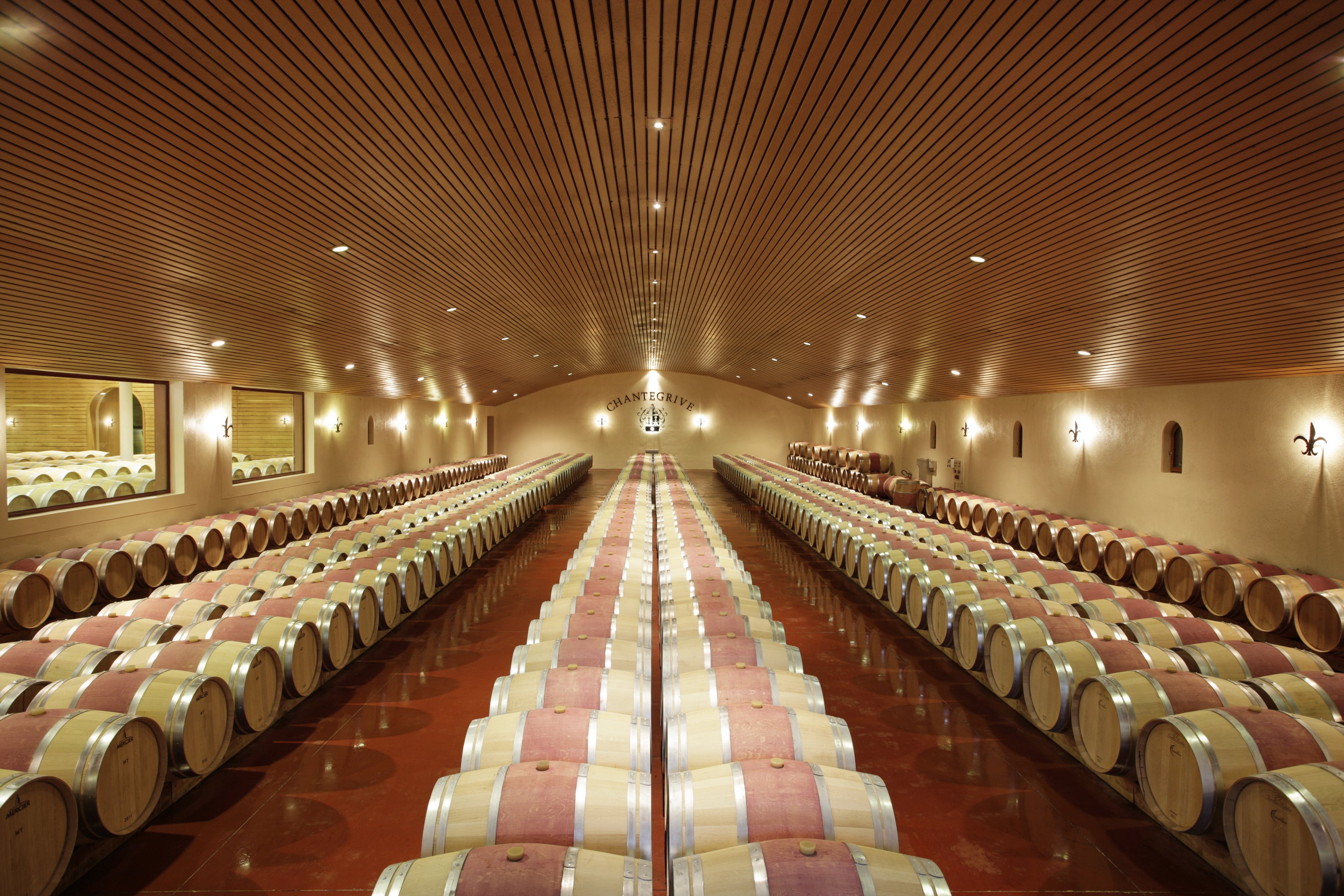 Château de Chantegrive - photo 4