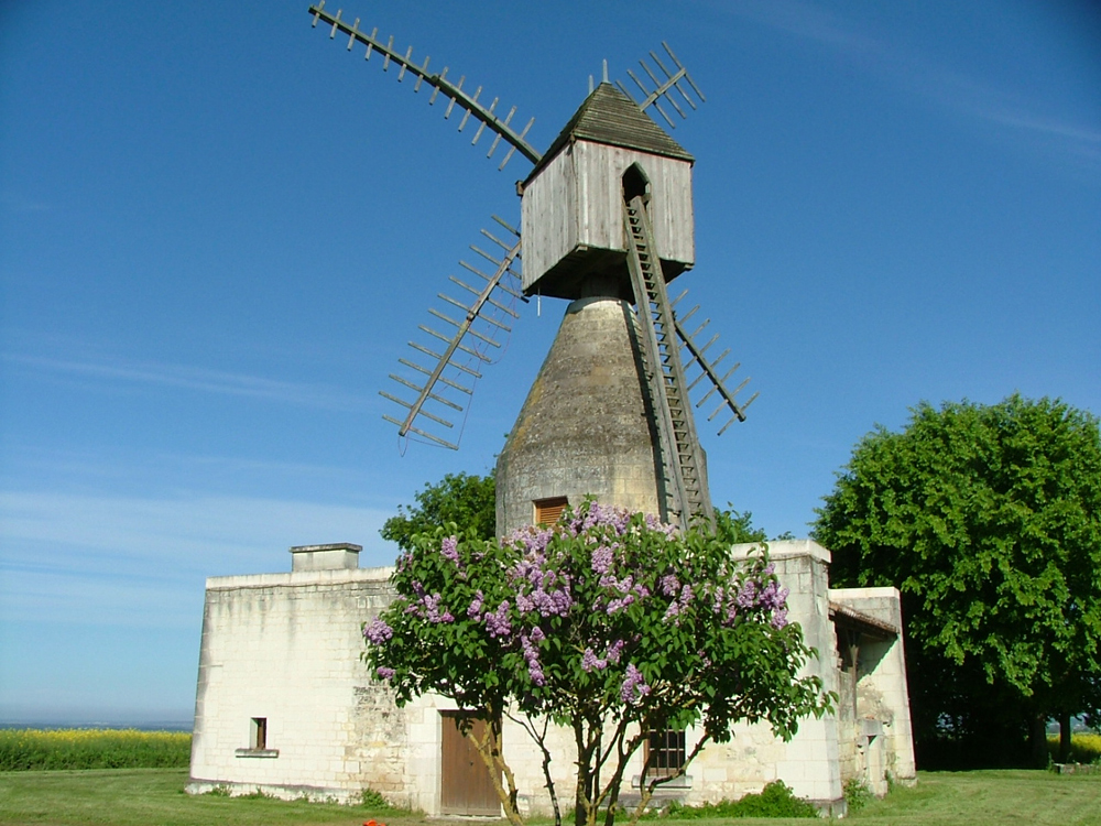 Moulin de Puy d'Ardanne, Chalais - photo 3