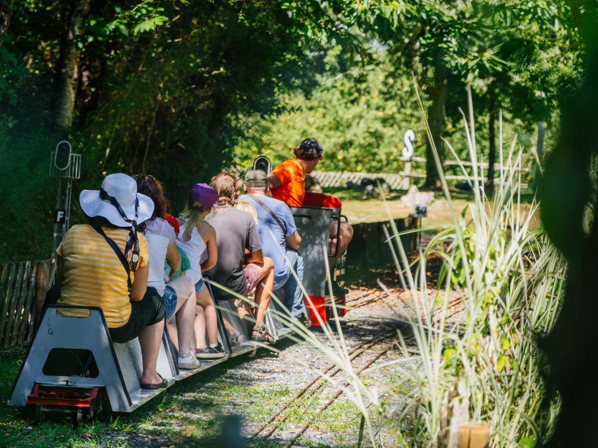 Espace Hermeline - photo 3