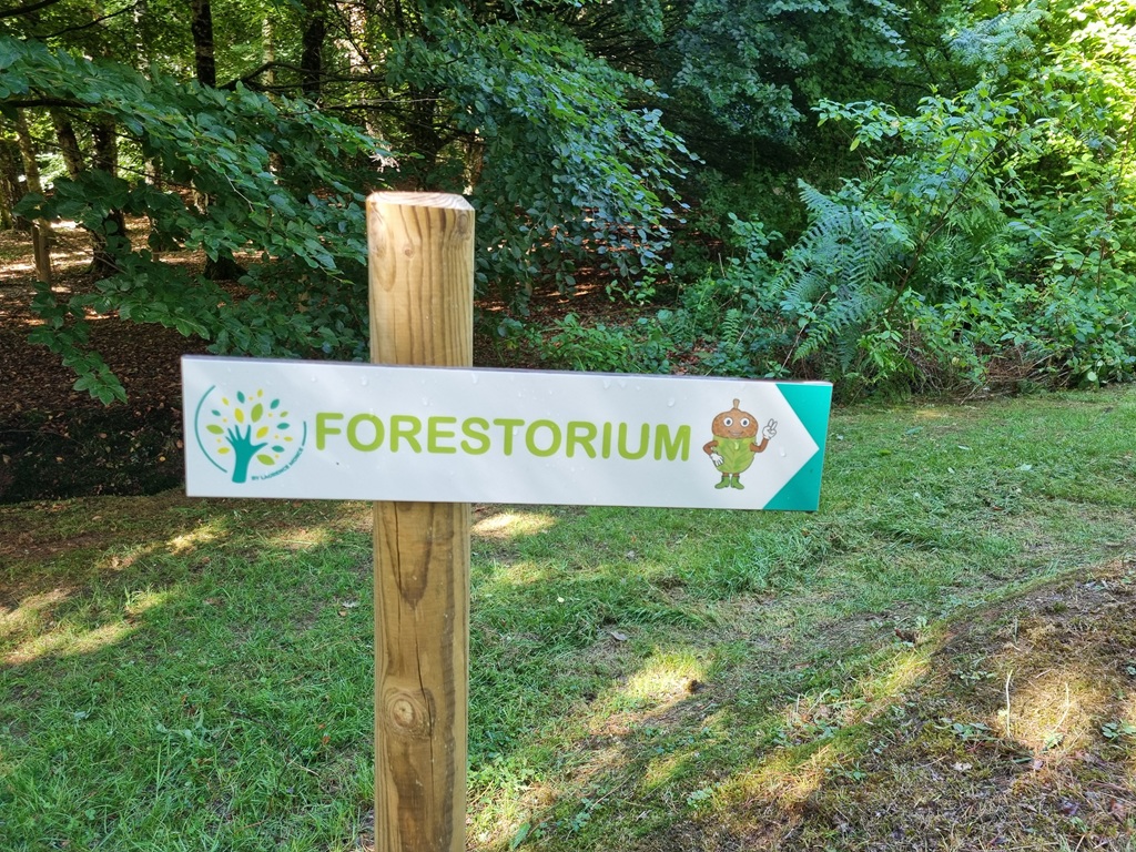 Forestorium de Chamberet — photo 3