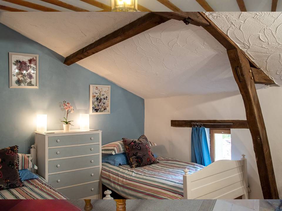 Gite Floreal - La Maison Lavande - photo 5