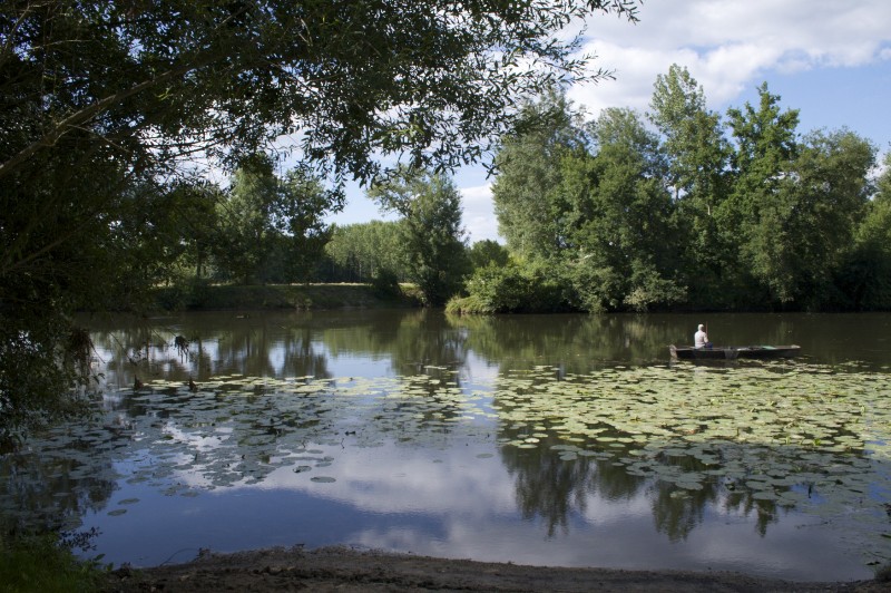 Les Hôtes de l'Isle