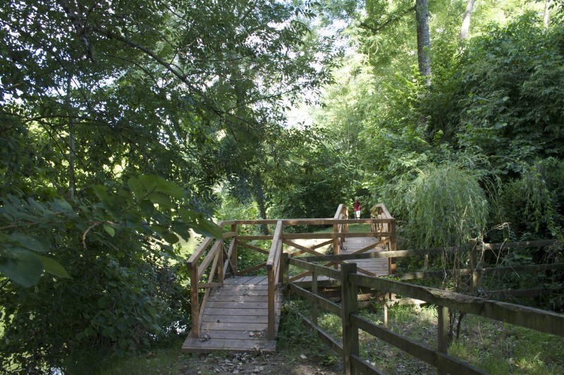 Les Hôtes de l'Isle - photo 2