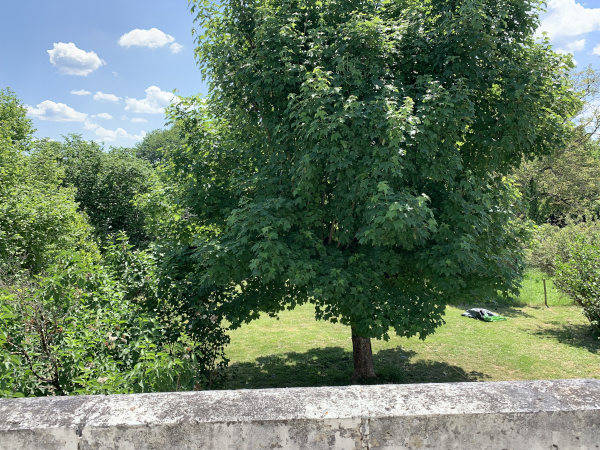 Brigitte et moi, Chancelade - photo 2