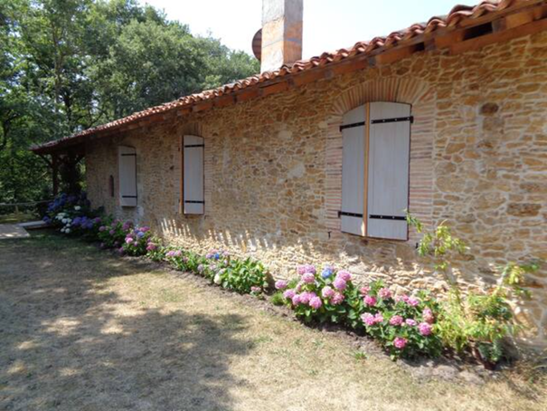 Chambre d'Hôtes Peillicq, Argelouse - photo 5