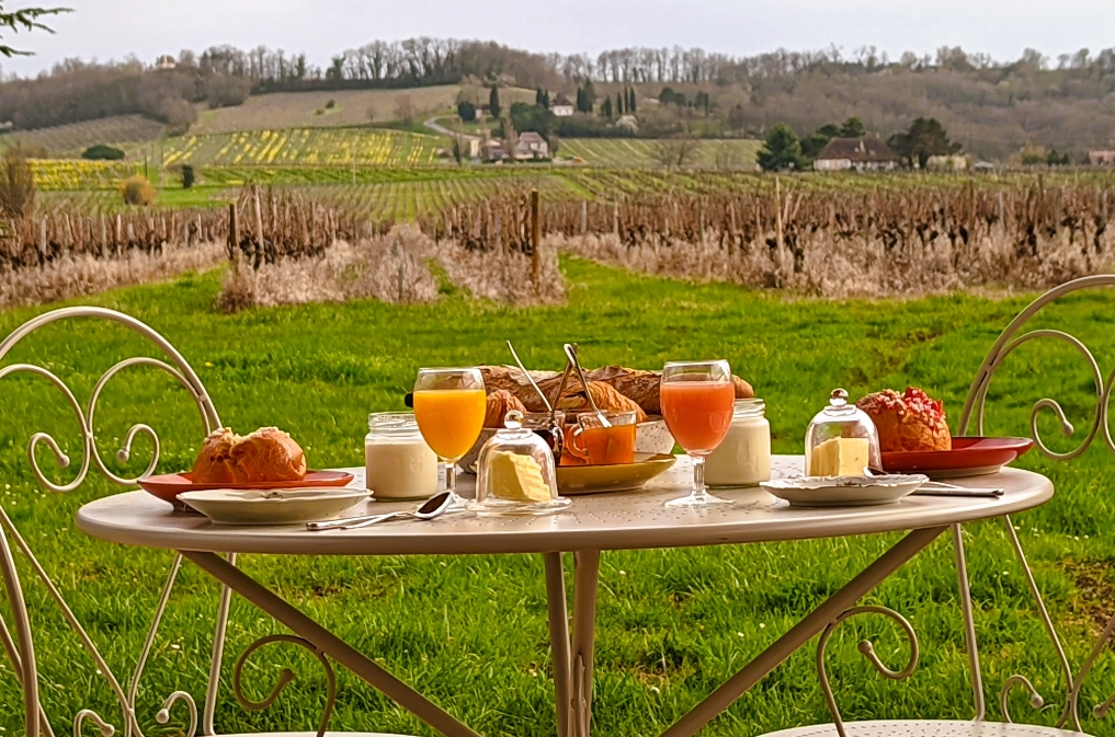 Clair de Vigne, Monbazillac - photo 10