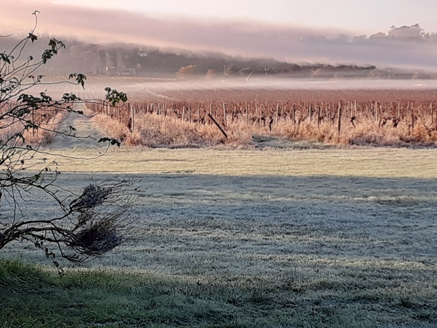 Clair de Vigne, Monbazillac - photo 17