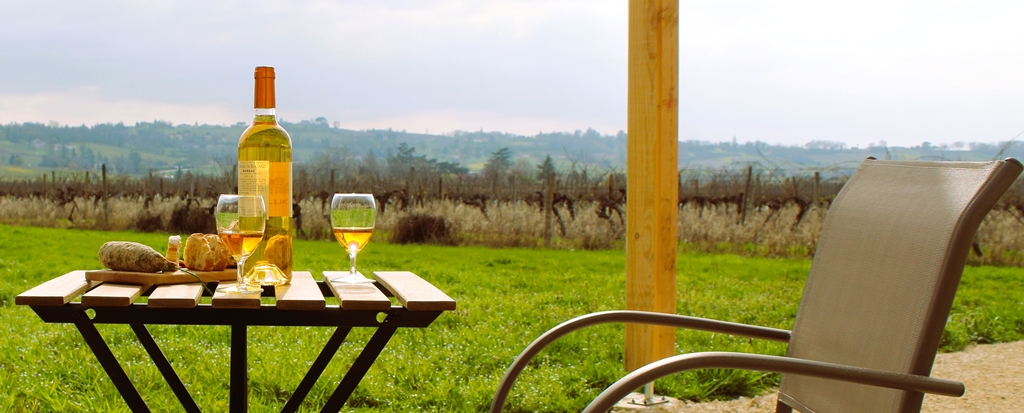 Clair de Vigne, Monbazillac - photo 11