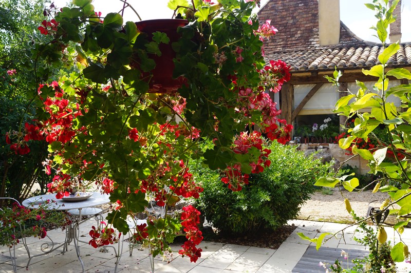 Chambres d'hôtes du Domaine de la Mouthe, Saint-Rémy - photo 5