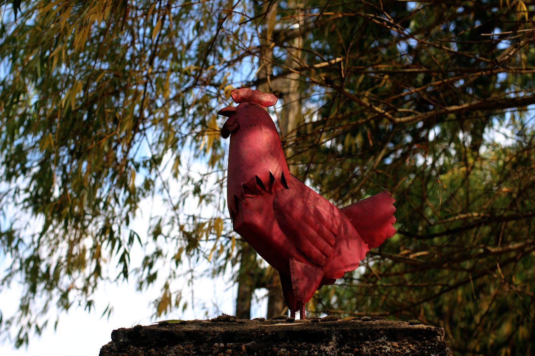 La P'tite Poule Rouge, Coux et Bigaroque-Mouzens - photo 6