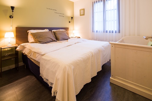 Domaine de L'Ancien Vignoble - L'Olive