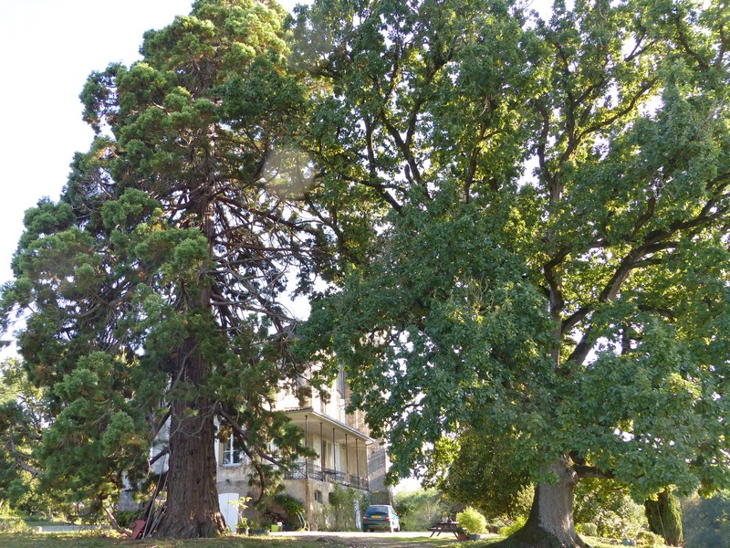 Château du Plantey, Labastide-Castel-Amouroux - photo 5