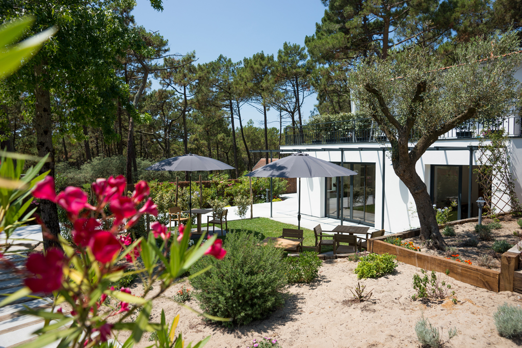 Ferret Vigne, Lège-Cap-Ferret - photo 3