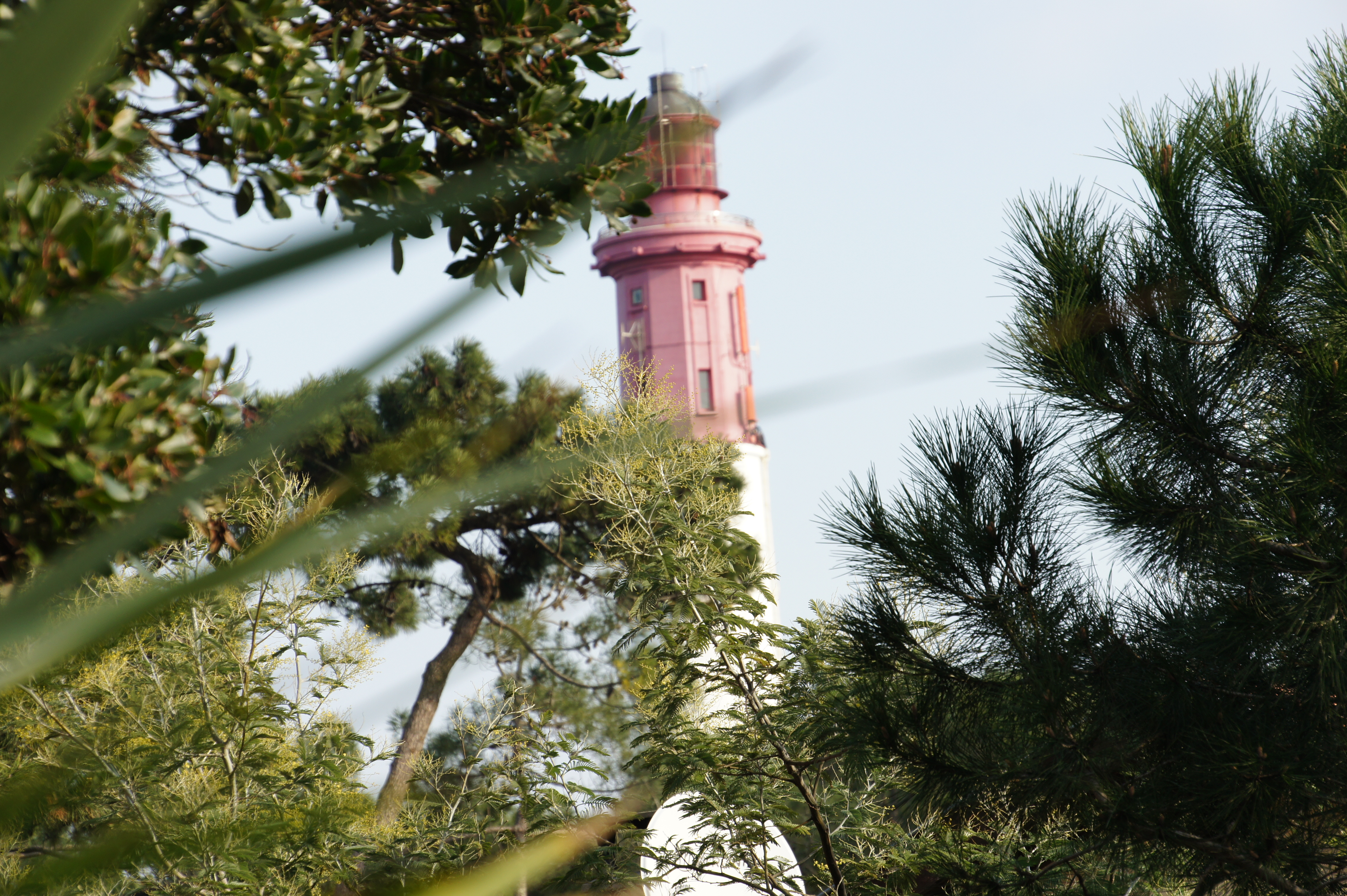 Le Chant des Pins - photo 2