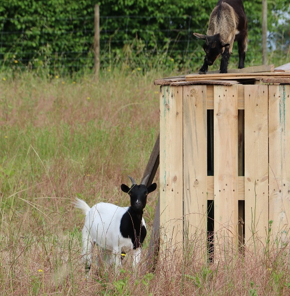 Chambres d'hôtes Aux 7 Palmiers, Seyches - photo 12