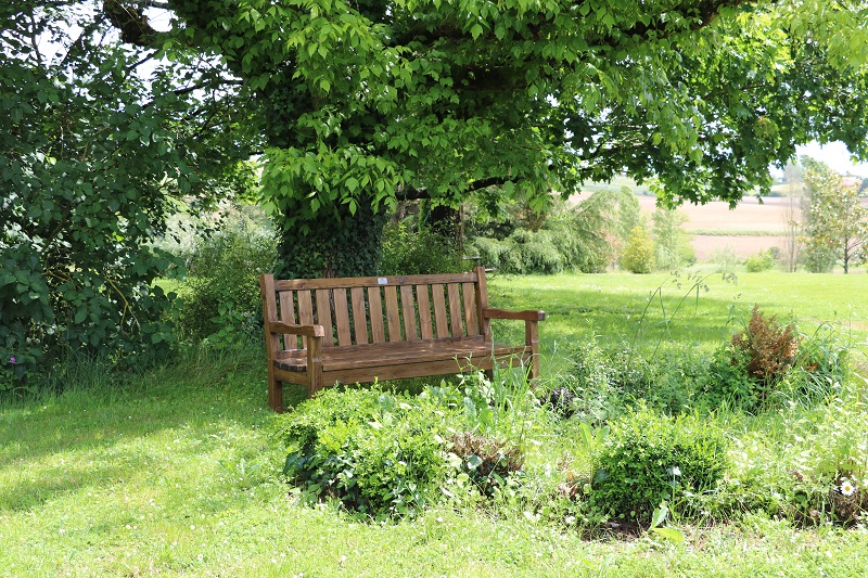 Chambres d'hôtes Aux 7 Palmiers, Seyches - photo 4