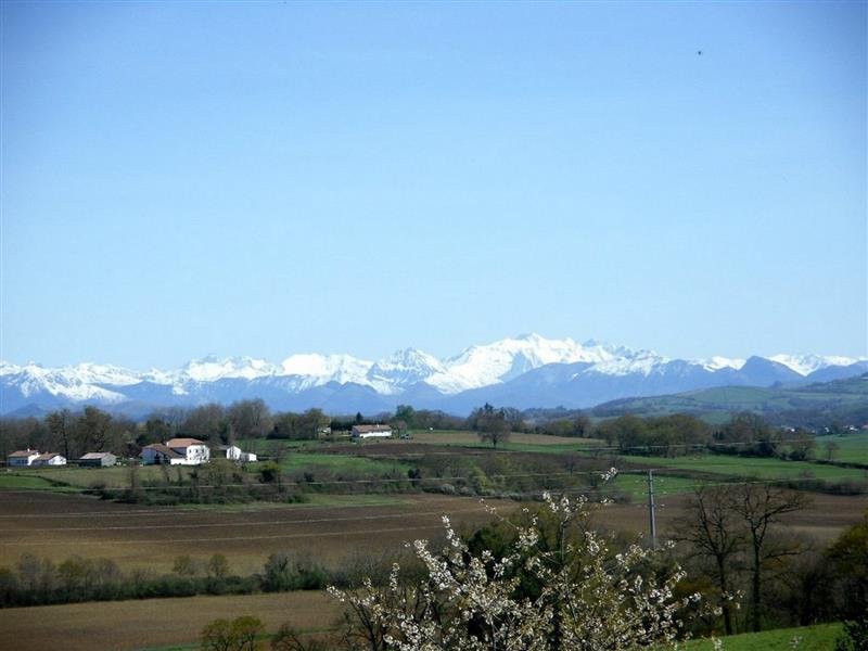 Madame Odette SOUVESTE