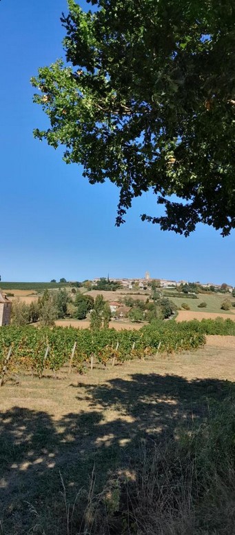 Chambres d'hôtes L'Oustal Félix, Montagnac-sur-Auvignon - photo 15
