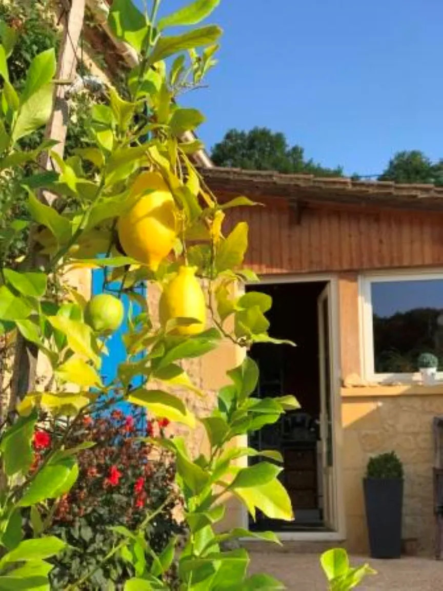 Chambres d'hôtes La Rivière