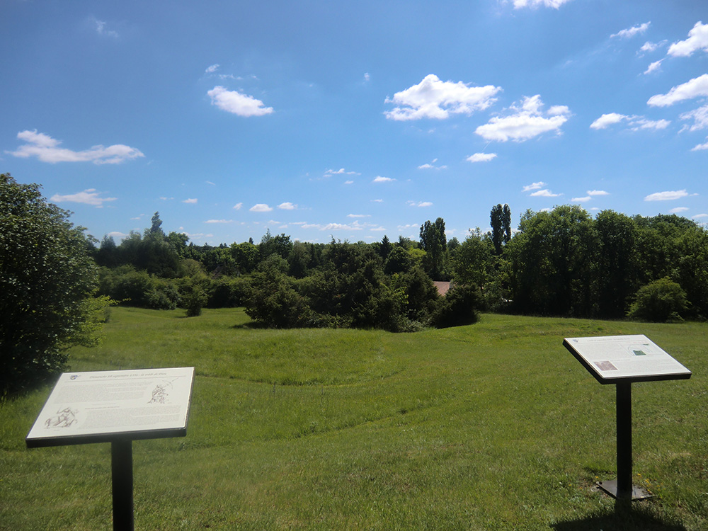 Champ de bataille 1356