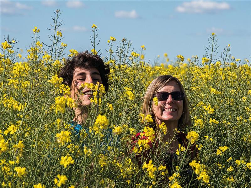 Ouillon : chemin des bergers