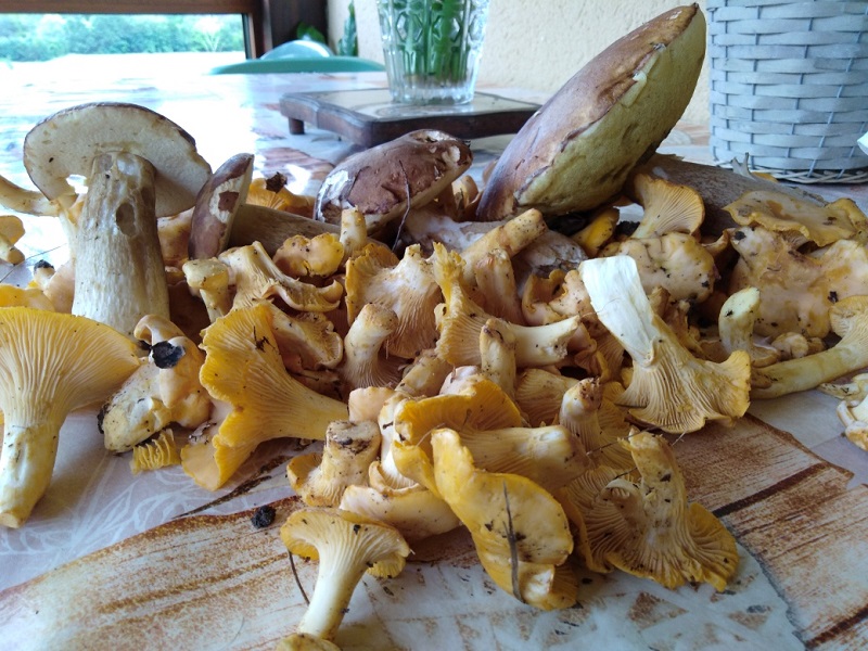 Les Oeillets - photo 4