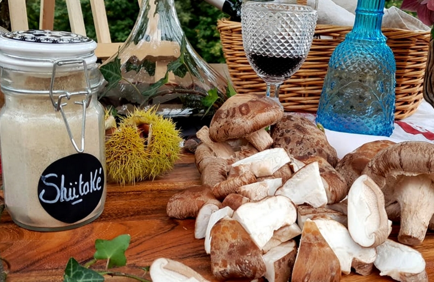 Champignons de Gaudeix - photo 3