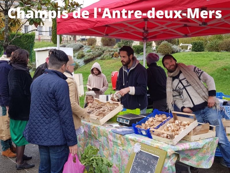 GAEC Les champis de l'Antre-deux-Mers - photo 4