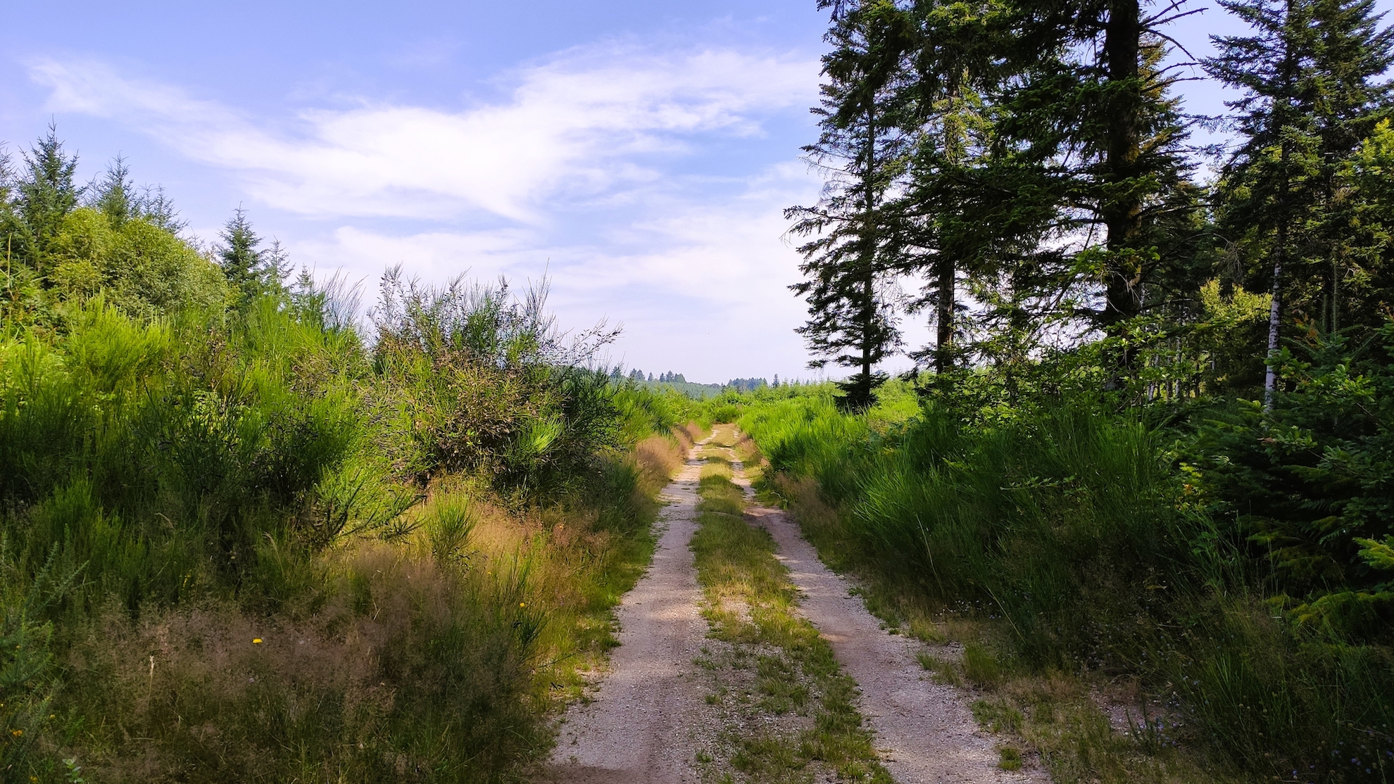 Circuit des Cîmes, Champnétery - photo 3