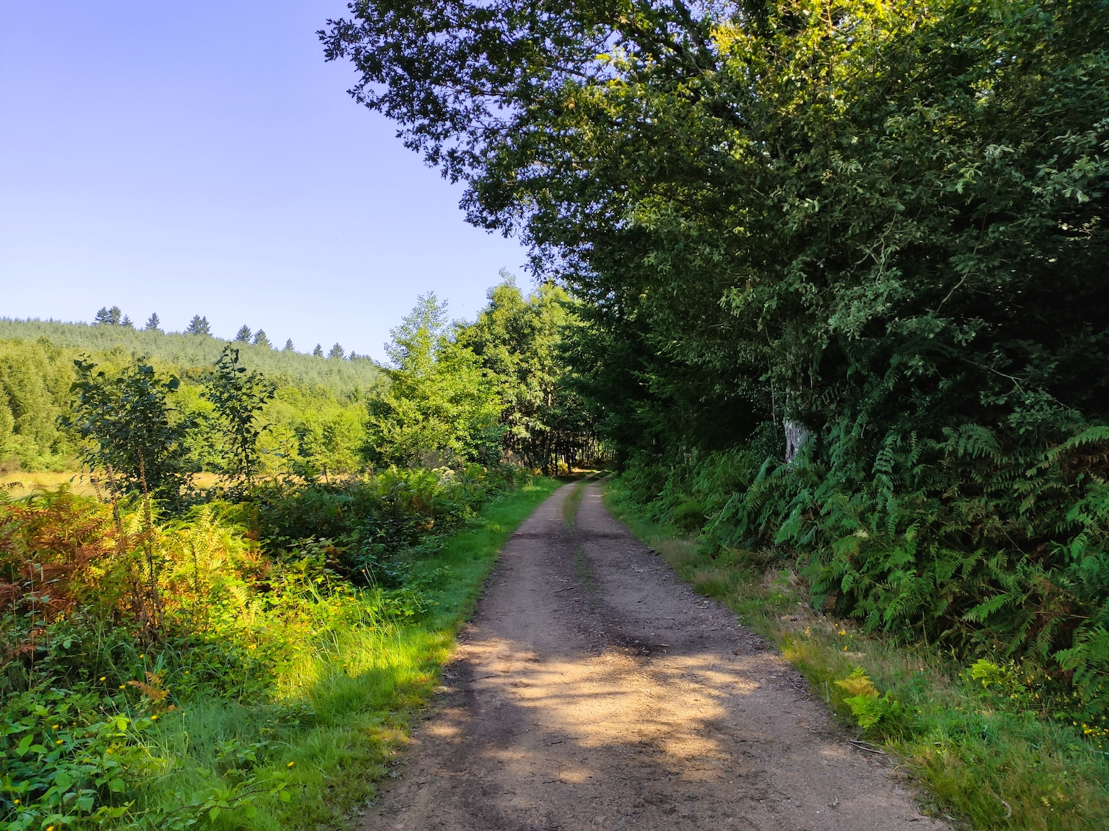 Circuit des Cîmes, Champnétery - photo 2