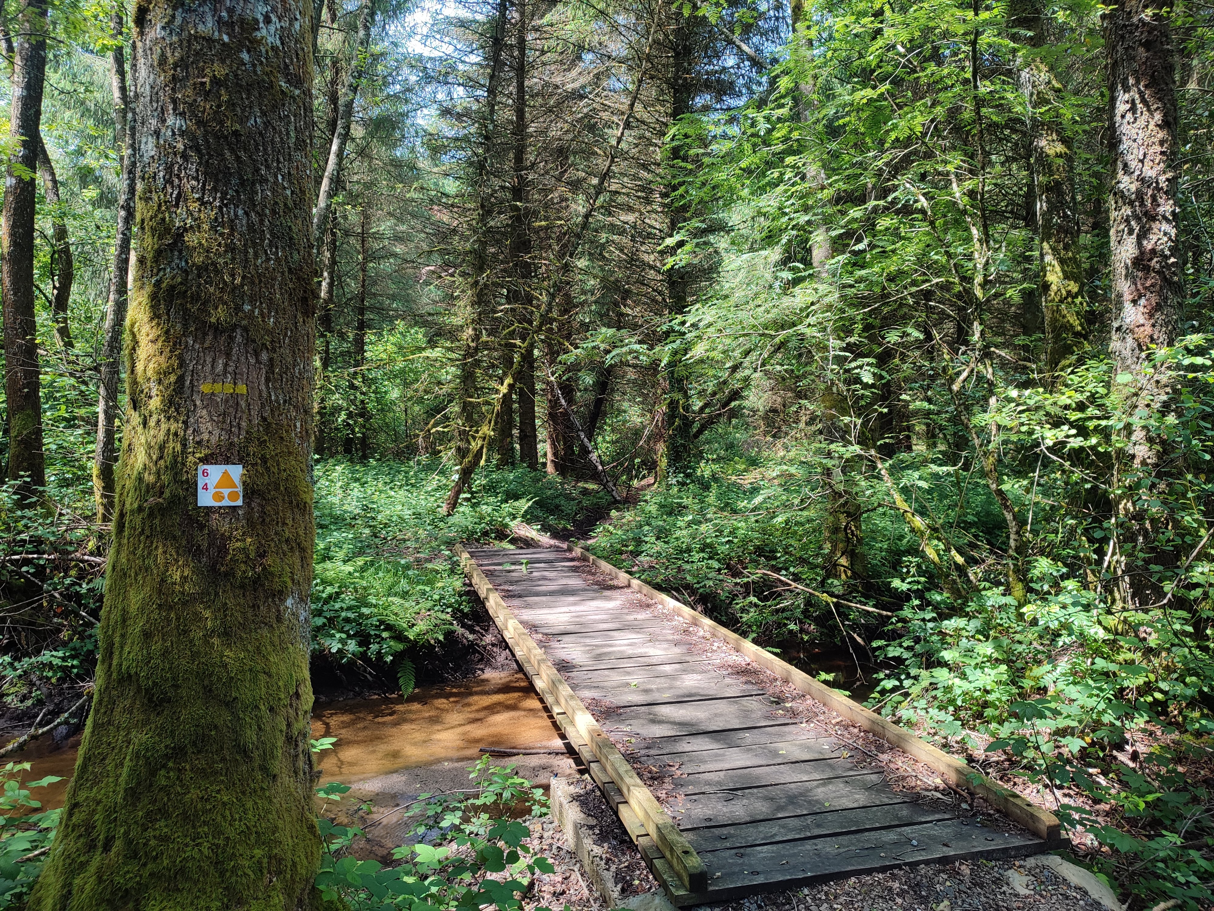 Circuit VTT n°4 De Champnétery aux monts d’Auriat, Champnétery - photo 2