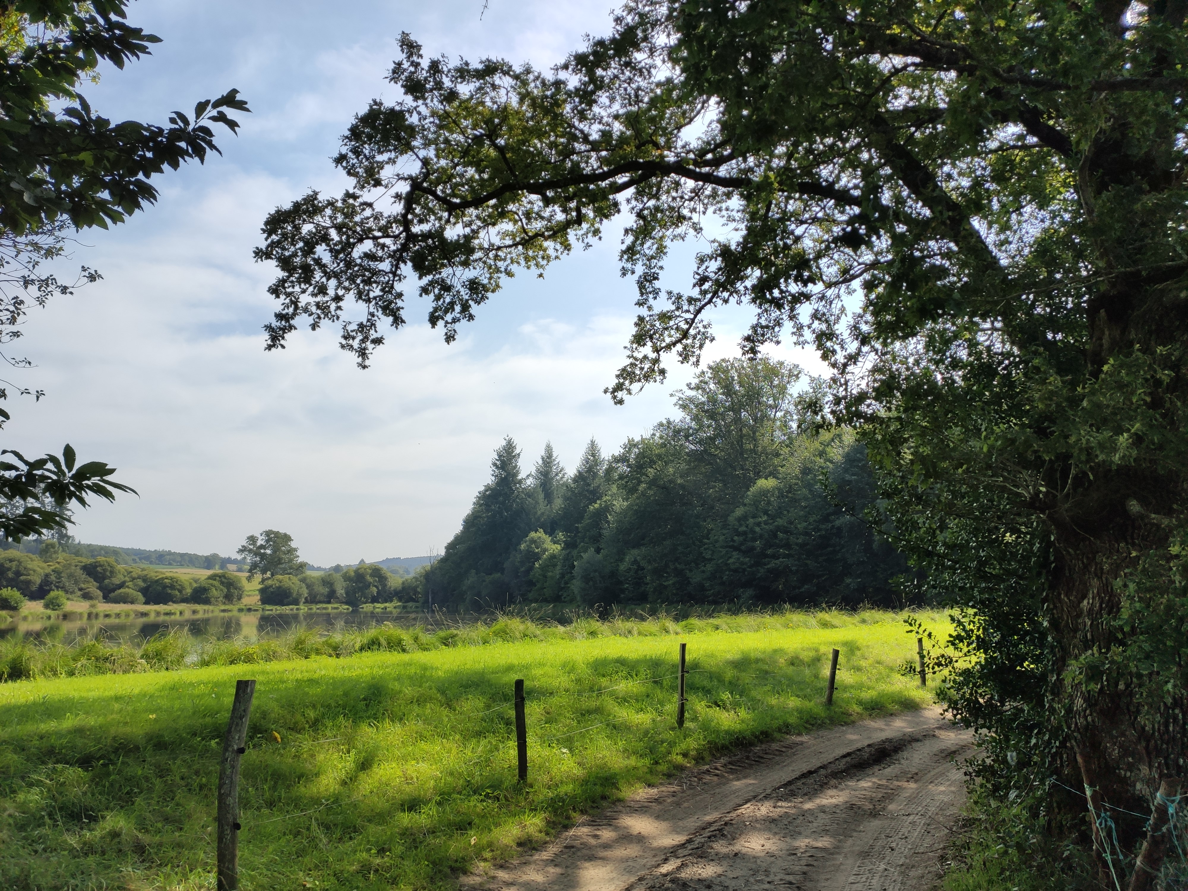 Circuit VTT n°4 De Champnétery aux monts d’Auriat, Champnétery - photo 6