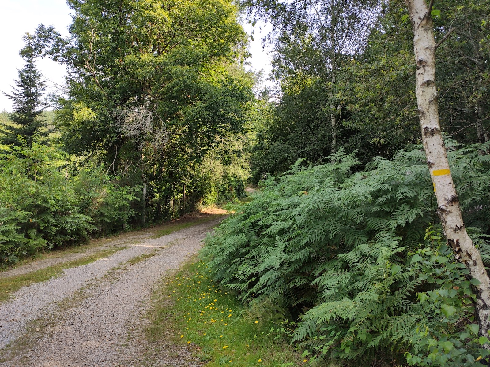 Presipauté de Grosland, Champnétery - photo 2