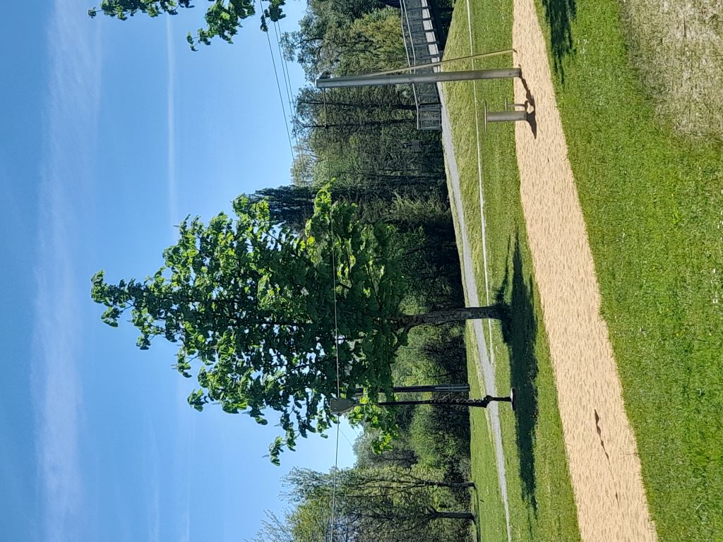 Aire de jeux de la Base de Loisirs de Chandos, Montpon-Ménestérol