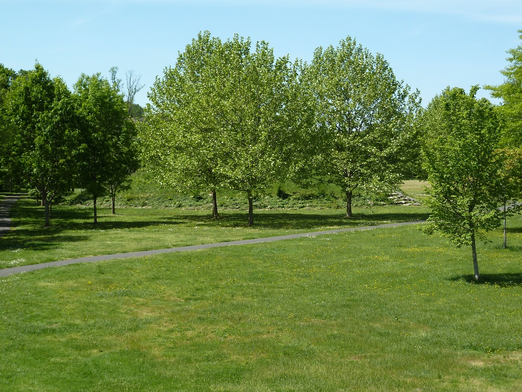 Aire de service vélos de la Base de Loisirs de Chandos de Montpon