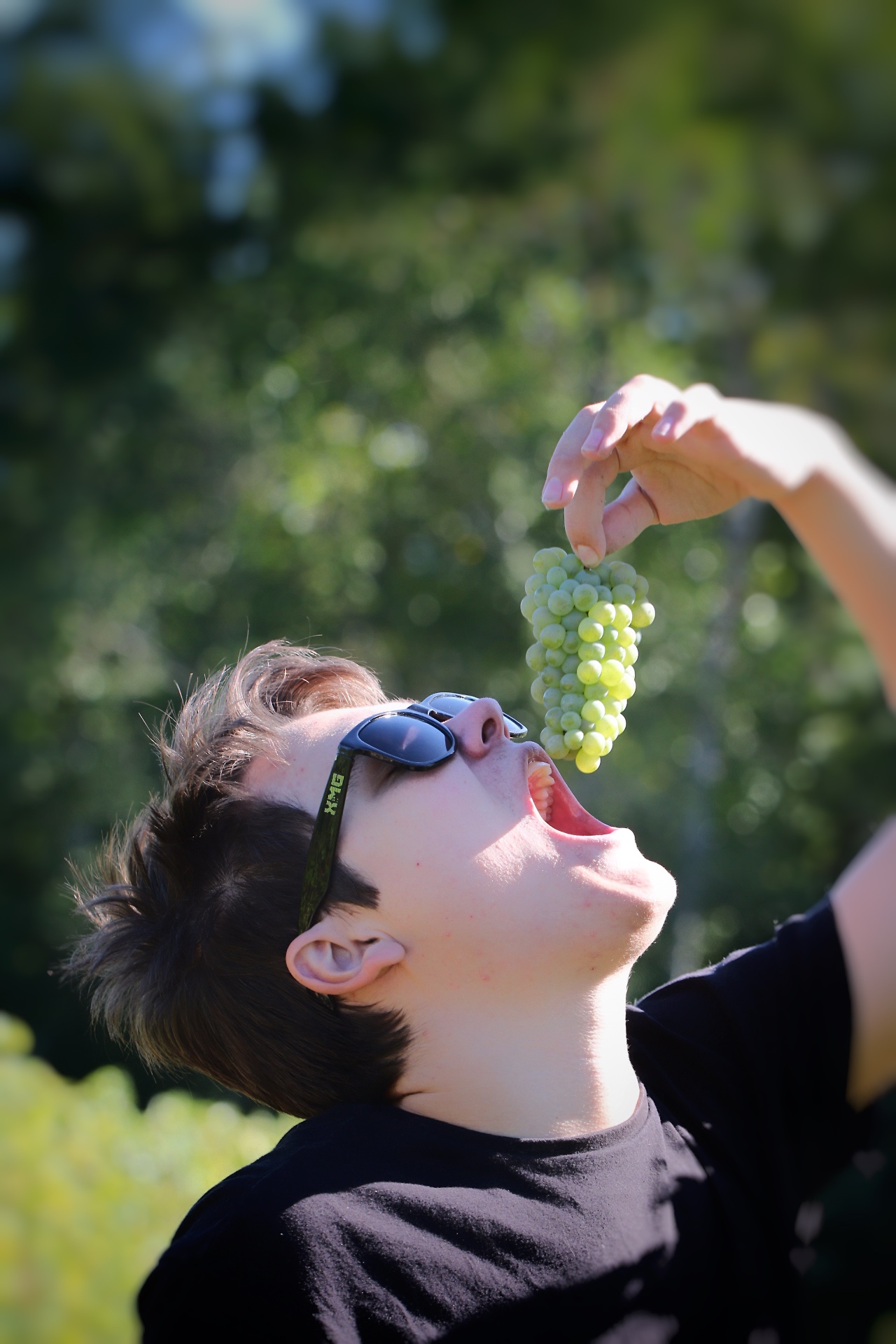 Domaine Chante l'Oiseau - photo 5