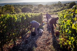 Domaine Chante l'Oiseau