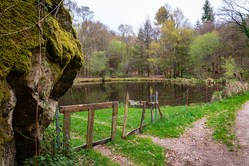 Circuit de la colline catalacoise, Chaptelat - photo 2