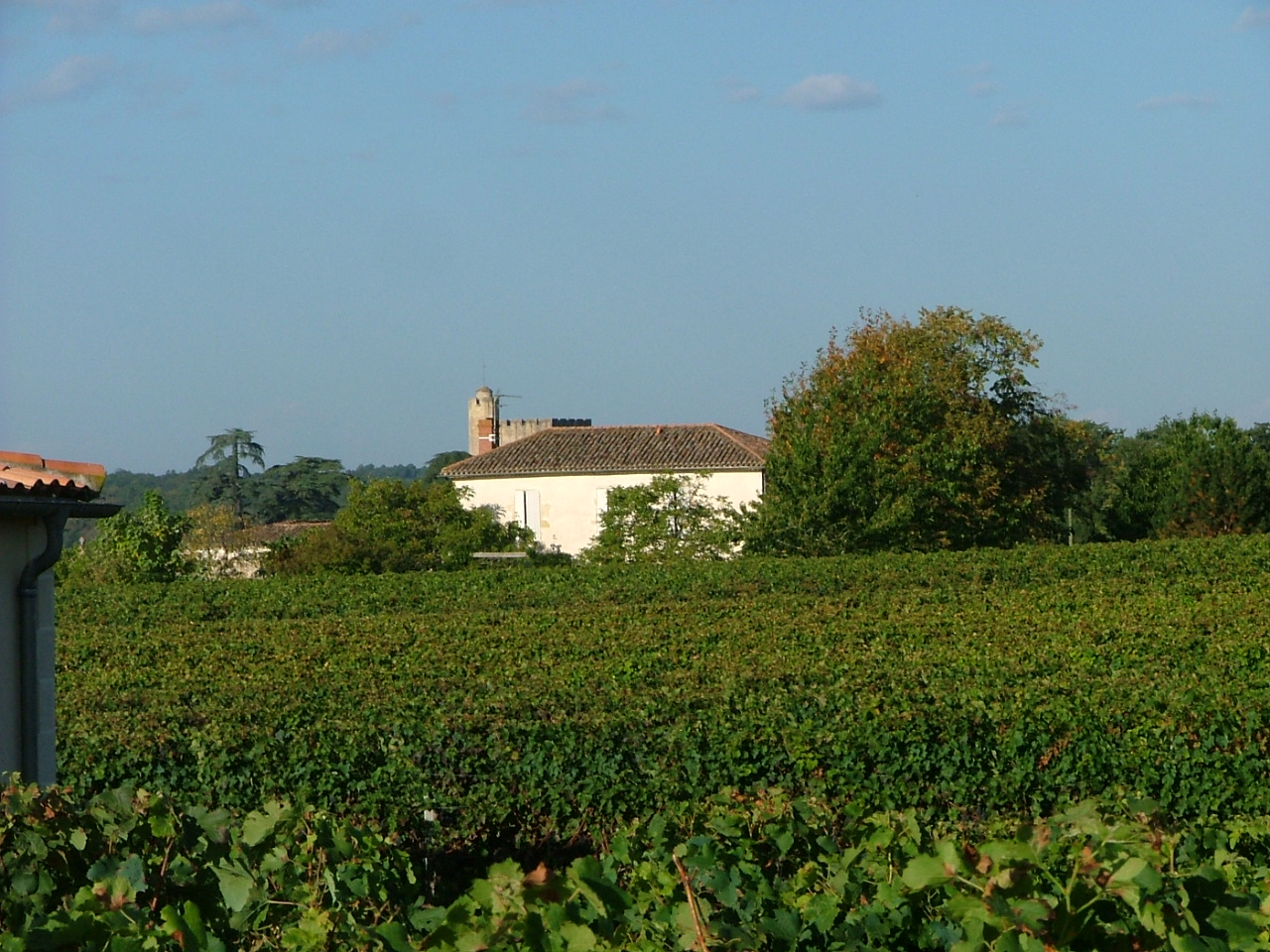 Château Beauregard Ducasse