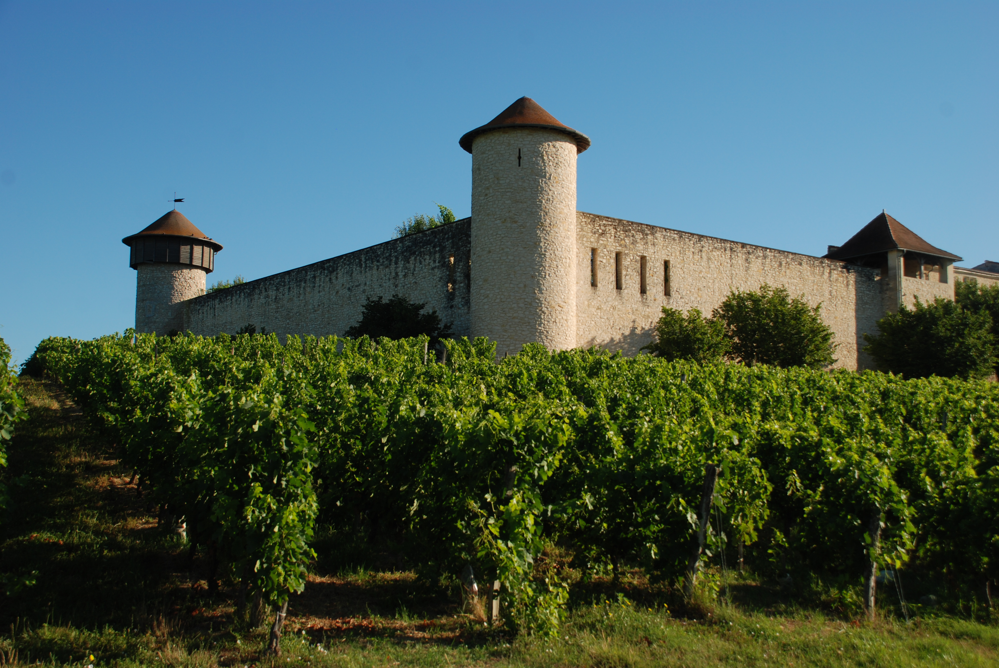 Boucle des Romains, Saint-Romain-la-Virvée - photo 4