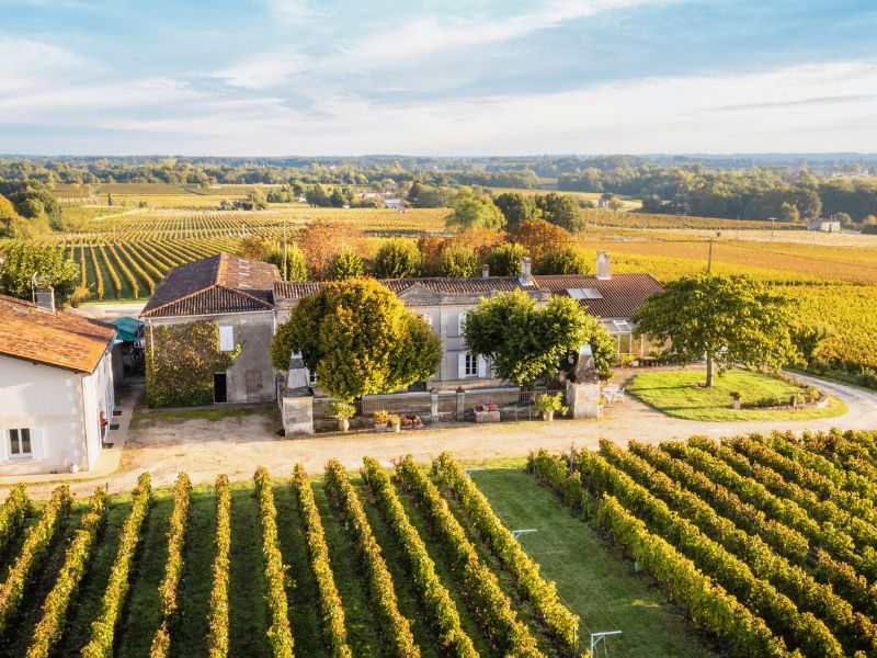 Château BruleSécaille - photo 5